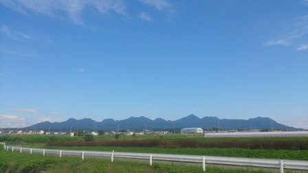 a0208560_16491194.jpg