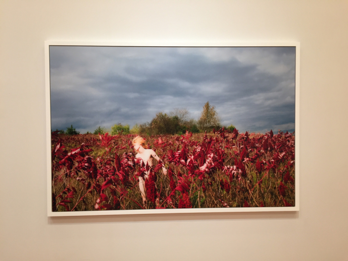 Ryan Mcginley “Body Loud”展 @オペラシティアートギャラリー_a0275477_00580389.jpg