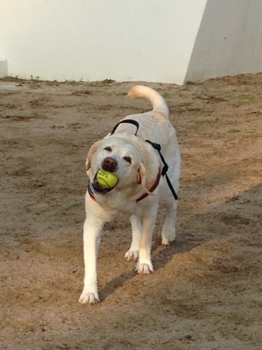 f0315081_21531983.jpeg