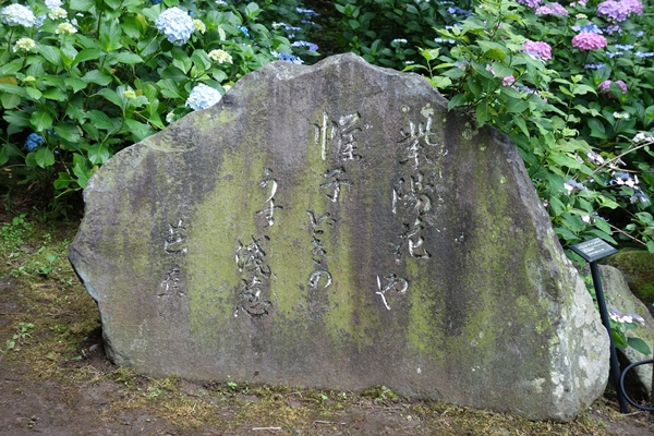 b0018682_2105619.jpg