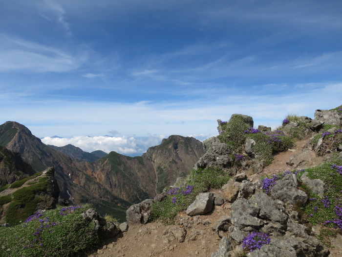 b0339488_20350257.jpg