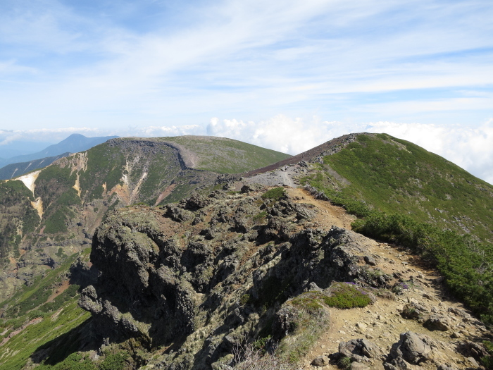 b0339488_20352823.jpg