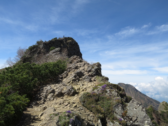 b0339488_20352979.jpg