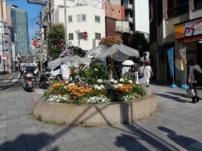 b0051598_23153193.jpg