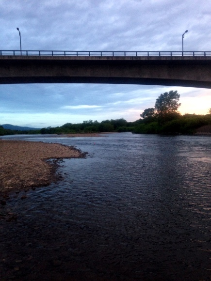 d0156298_07091991.jpeg