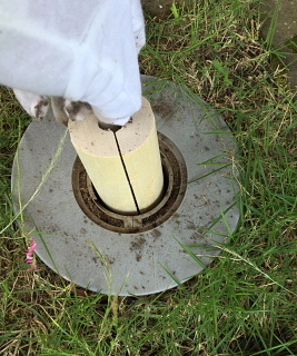 c0039501_18213452.jpg