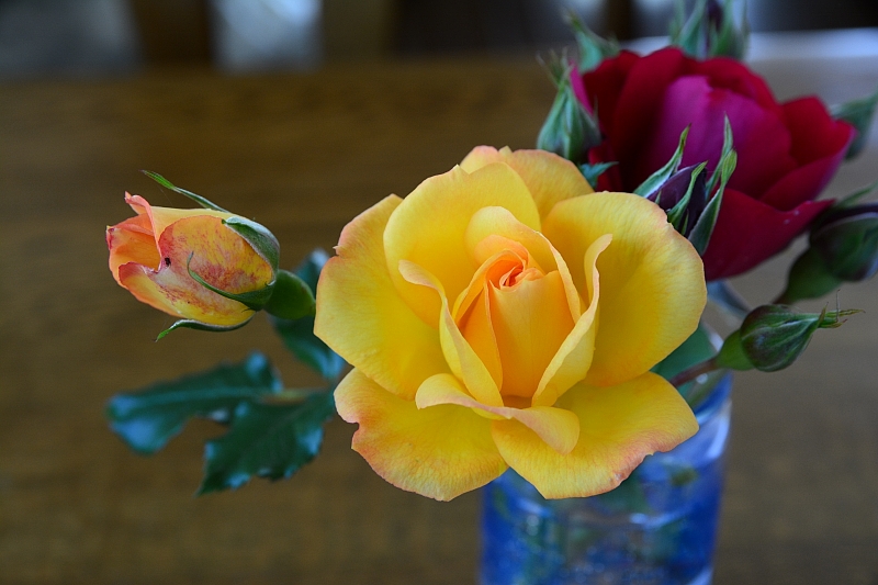 a0248508_1336577.jpg