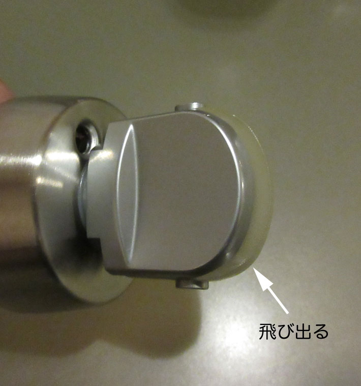 c0085508_8361971.jpg