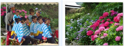 f0231709_1057721.gif