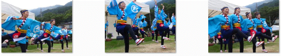 f0231709_1058061.gif