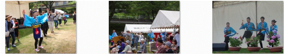 f0231709_10585578.gif