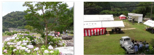 f0231709_11194311.gif