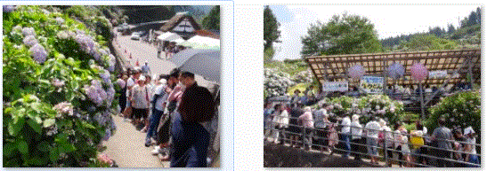 f0231709_2137142.gif