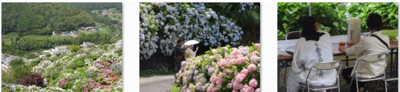 f0231709_21482192.gif