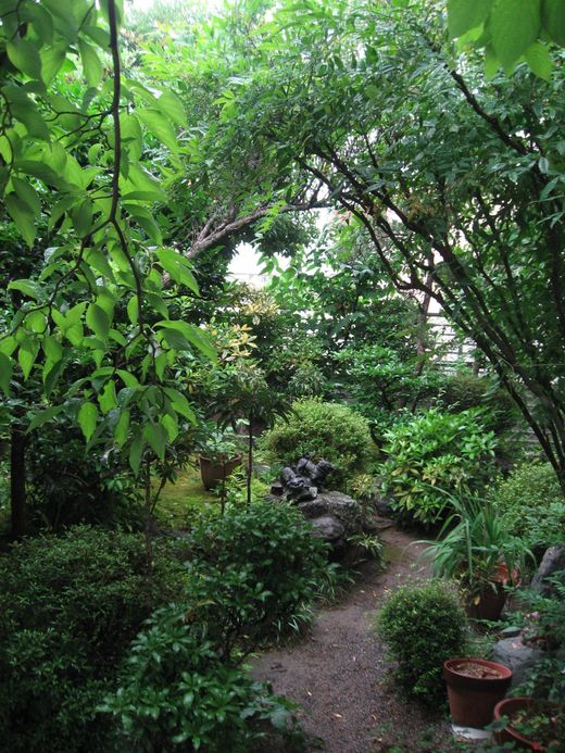 c0062511_2302372.jpg
