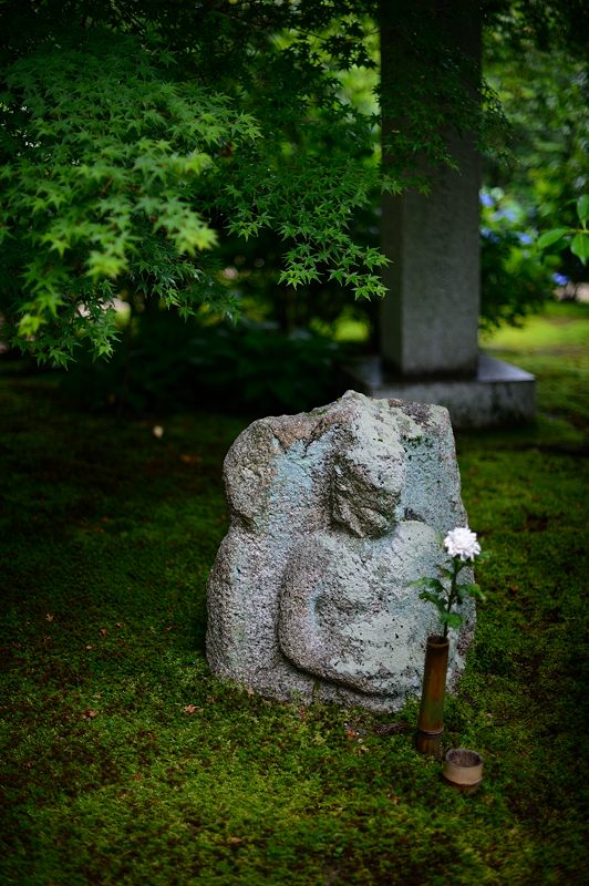 水無月の花達＠雨の法金剛院 _f0032011_18172154.jpg