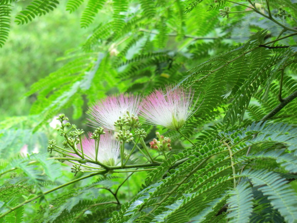b0163121_22332735.jpg