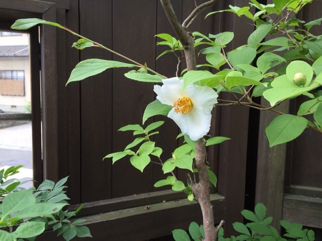 f0067528_21190539.jpeg