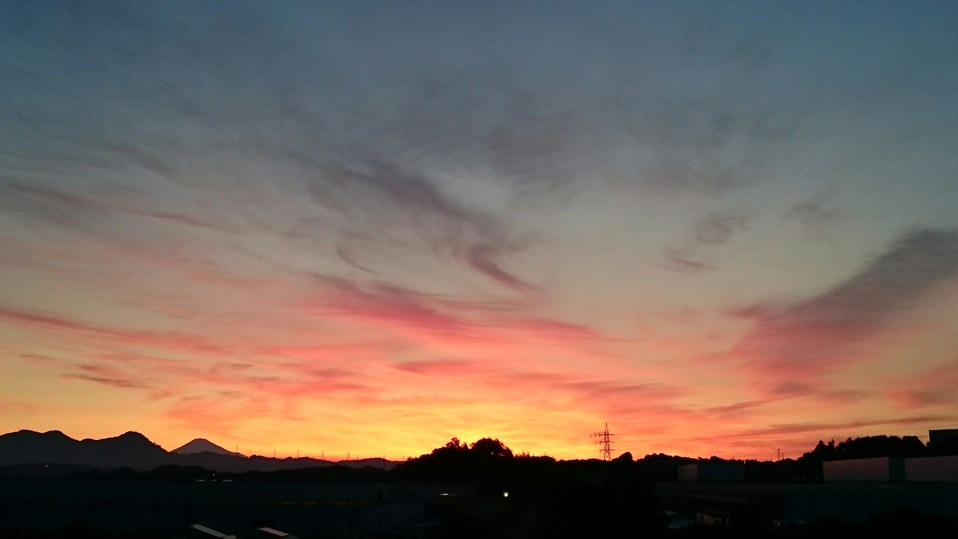 f0061531_4412567.jpg