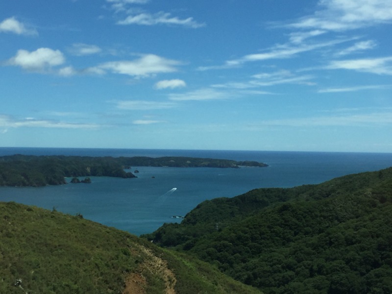 【コバルトライン】海と森が共存する場所へ。_e0353732_21330258.jpg