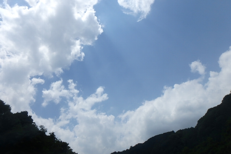 c0113733_2341395.jpg