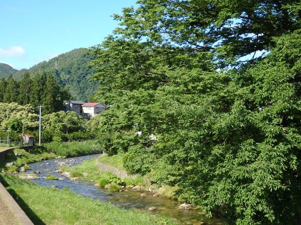 梅雨の晴れ間の清水川かいわい&その後の「さんがいねぎ」_b0206037_18593572.jpg