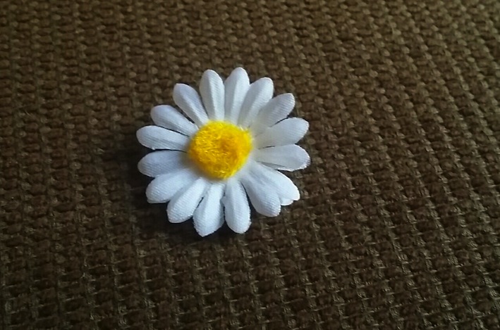 f0188652_20511499.jpg