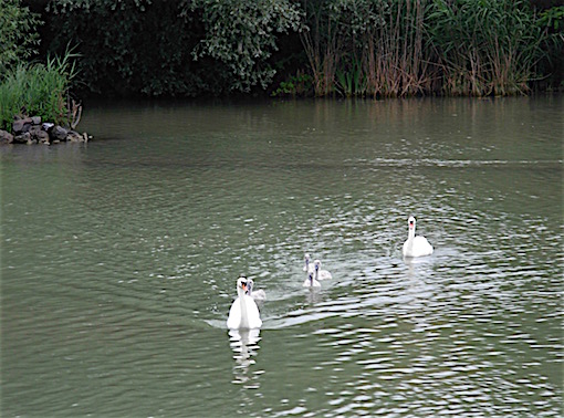 e0357367_23193060.jpg