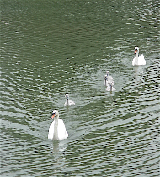 e0357367_23194423.jpg