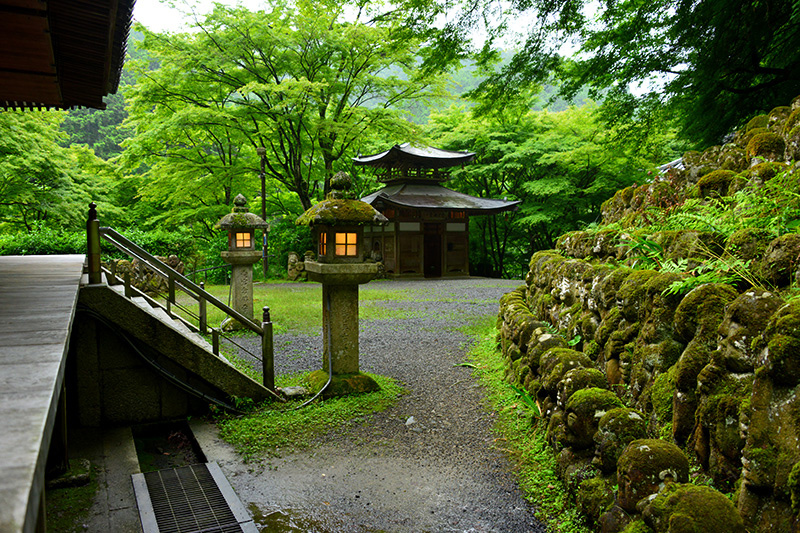 愛宕念仏寺　雨上がる_c0317868_18521217.jpg