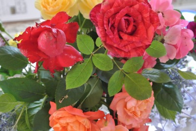 It\'s your day!!! _d0240469_12121769.jpg