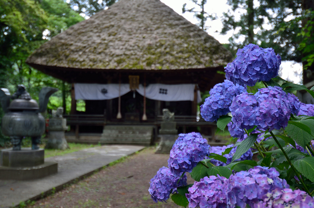 千曲市　智識寺　2016_c0197772_18373199.jpg