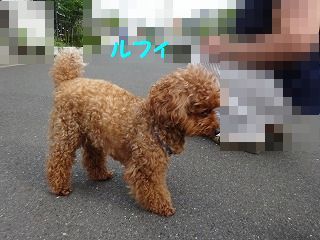 今日までの晴れを楽しもう_d0353074_17380235.jpg