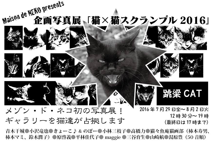 猫x猫スクランブル２０１６（in 京橋） 7/29〜8/2_e0123176_20594460.jpg