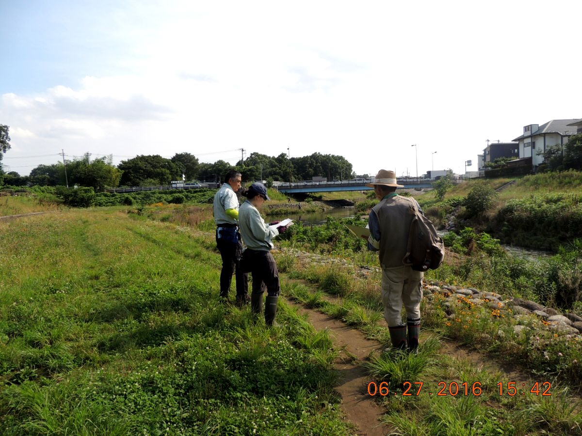 Ｎｏ．1273　一石四鳥の植物調査お手伝い_f0104277_19542257.jpg