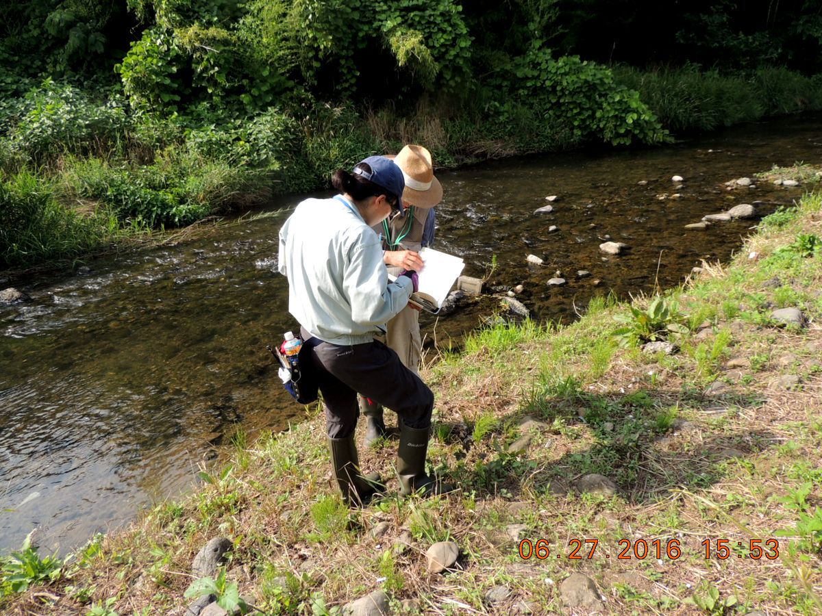 Ｎｏ．1273　一石四鳥の植物調査お手伝い_f0104277_19544348.jpg