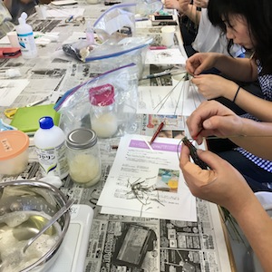 6月のラベンダーで作るアワアワ石鹸_a0191183_15255934.jpg