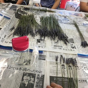 6月のラベンダーで作るアワアワ石鹸_a0191183_1527446.jpg