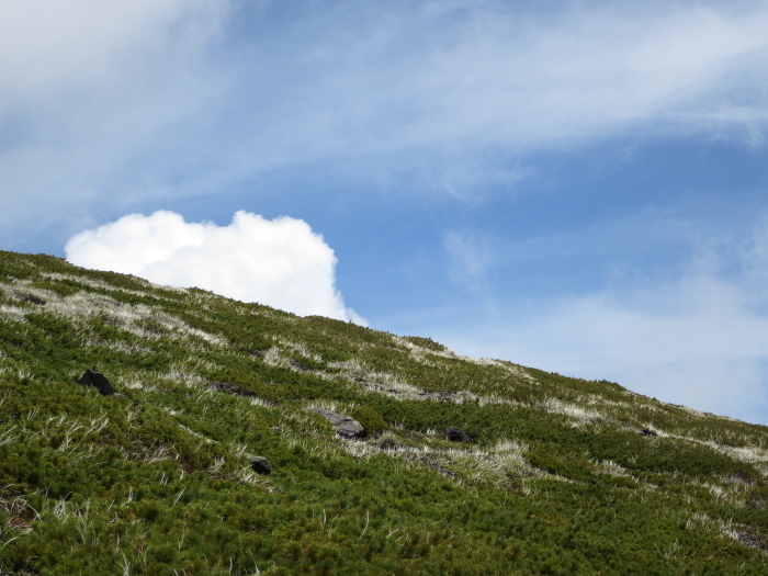 b0339488_20025327.jpg