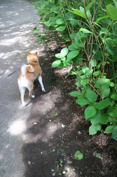 b0275998_09014504.jpeg