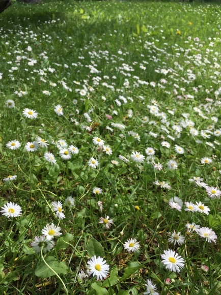 b0275998_09104393.jpeg