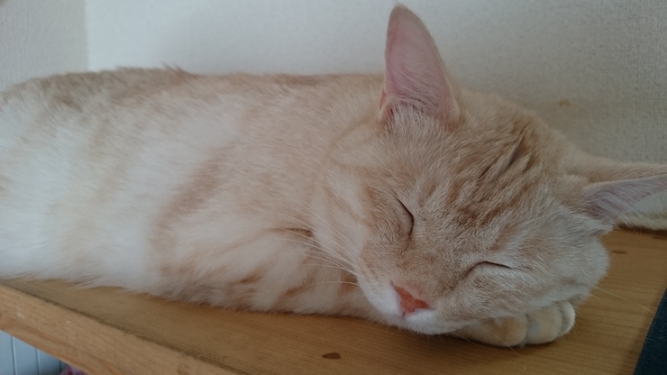 サマー_b0134499_1324836.jpg