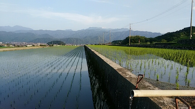 f0231709_1031575.jpg