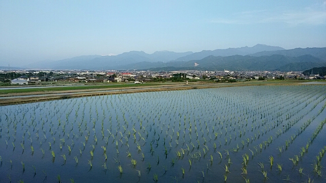 f0231709_10332867.jpg