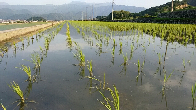 f0231709_10335989.jpg