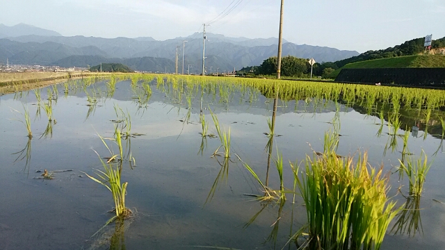 f0231709_10522867.jpg