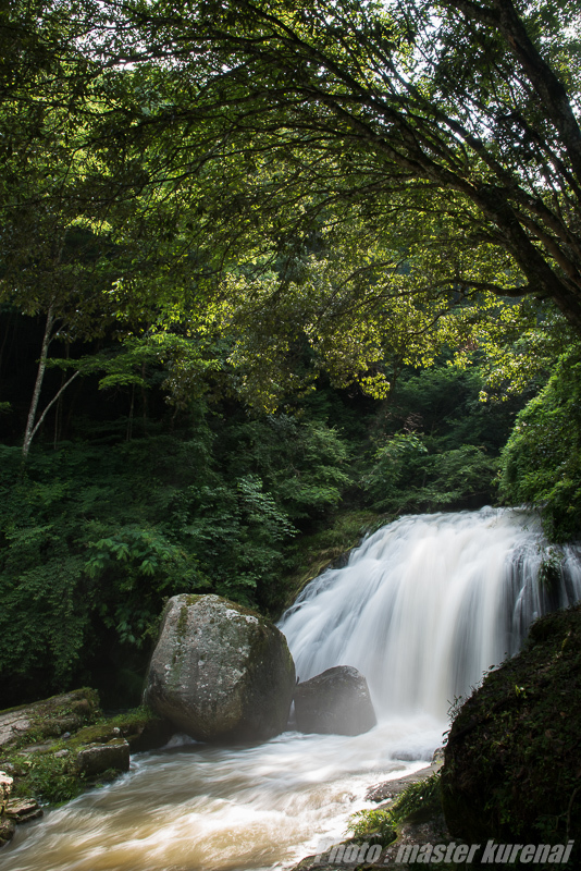 2015.6.26 鳴滝森林公園_b0366519_00301248.jpg