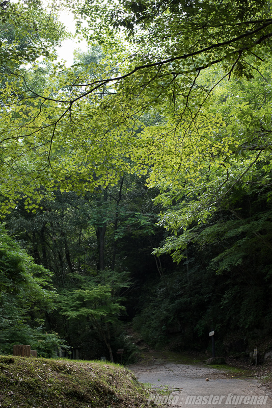 2015.6.26 鳴滝森林公園_b0366519_00301337.jpg