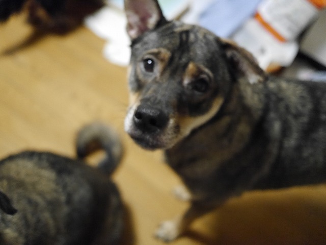 f0282319_01215.jpg