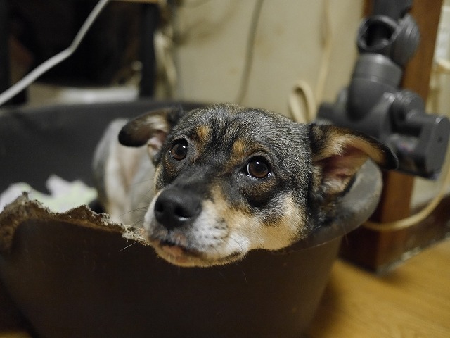f0282319_06353.jpg